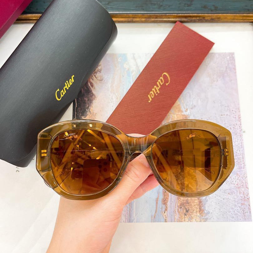 Oversized Acetate Sunglasses